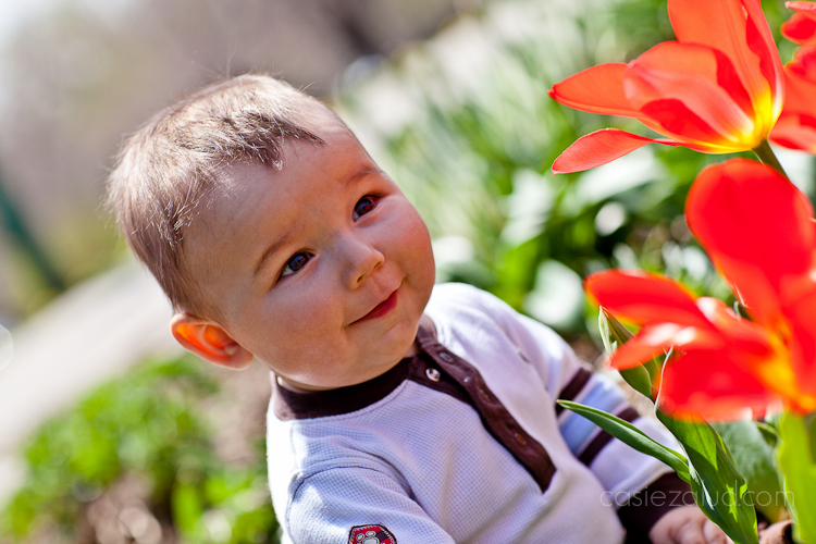 Baby portrait tulips