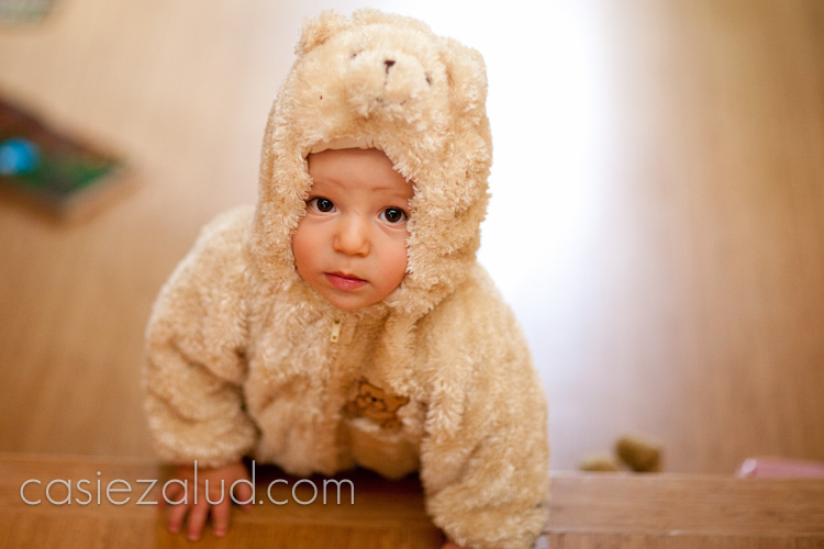 a crawling boy dressed as a bear for Halloween crawling on the floor