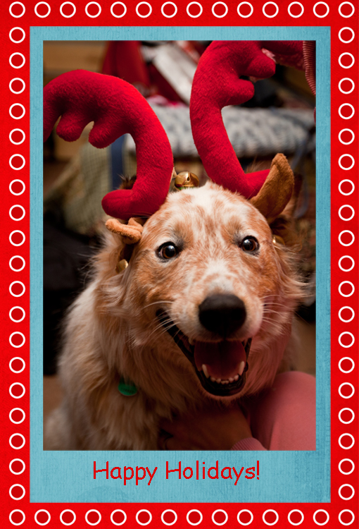 a dog with christmas antlers on his head
