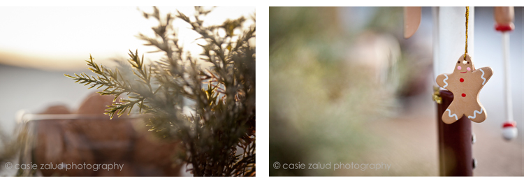 Evergreen Wedding Photographer - Casie Zalud Photography