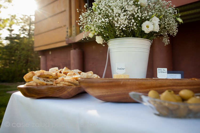 Planet Bluegrass Wedding Photographer - Eat Private Chef & Catering CO.