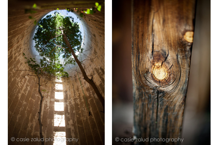 Planet Bluegrass Wedding Photographer