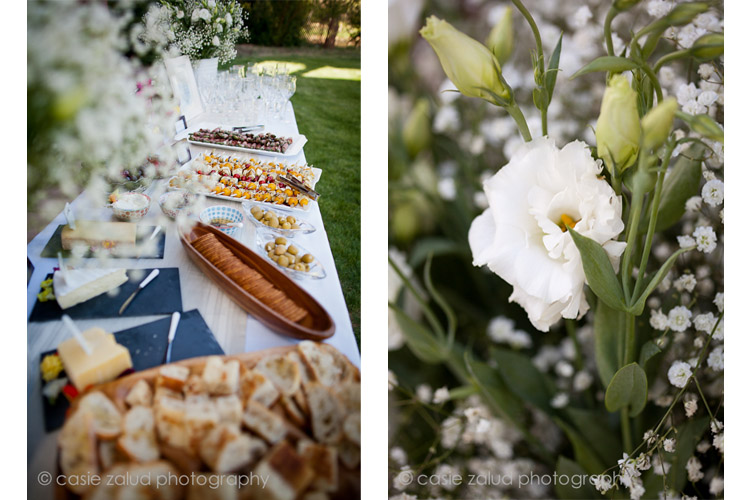 Planet Bluegrass Wedding Photographer - Eat Private Chef & Catering CO.
