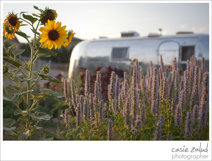 Eat Private Chef & Catering Co. - Lyons Farmette