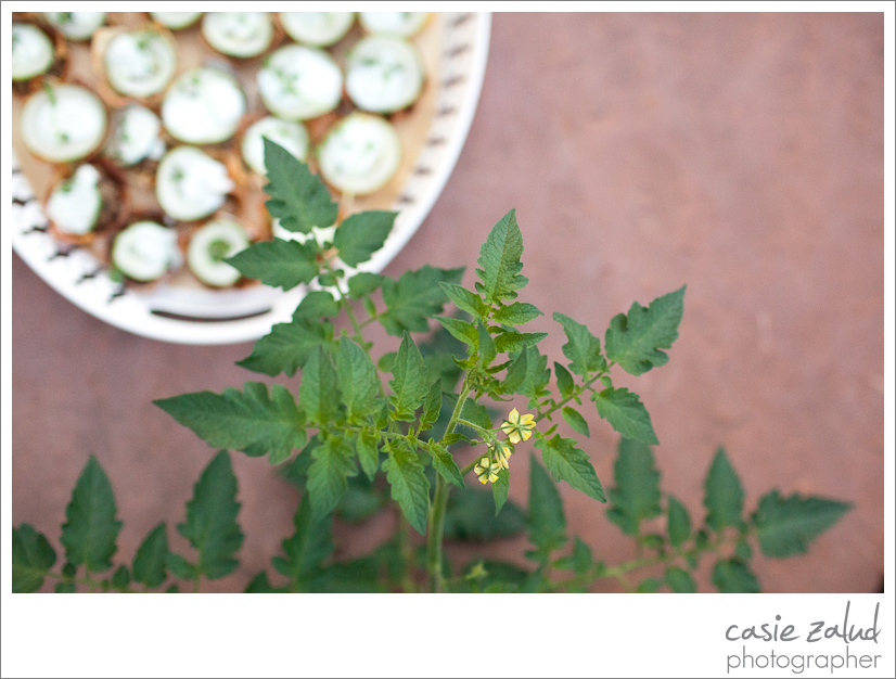 Eat Private Chef & Catering Co. - Lyons Farmette