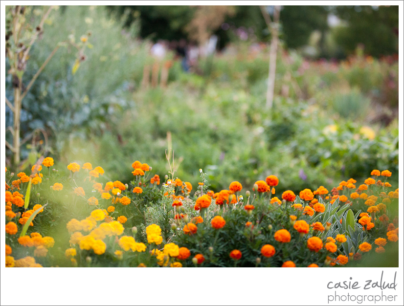 Eat Private Chef & Catering Co. - Lyons Farmette