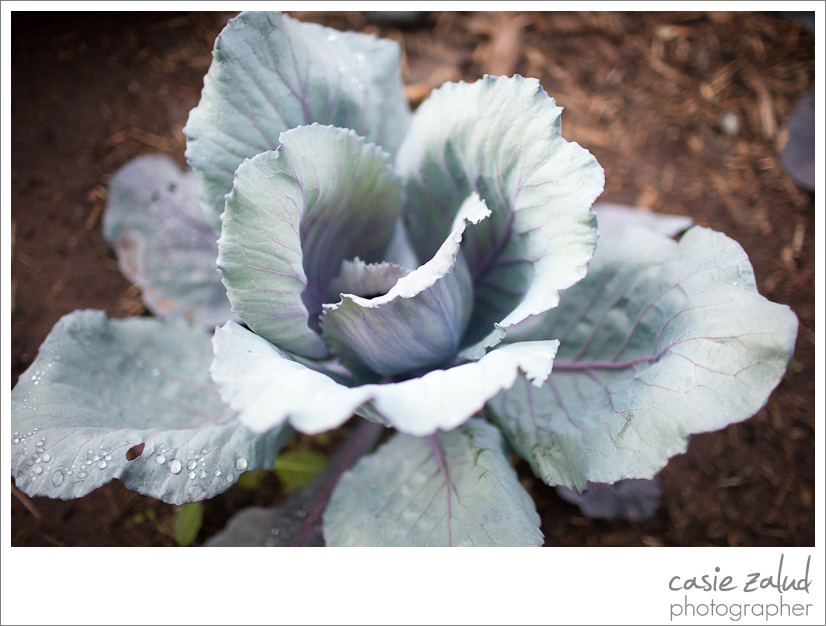 Eat Private Chef & Catering Co. - Lyons Farmette