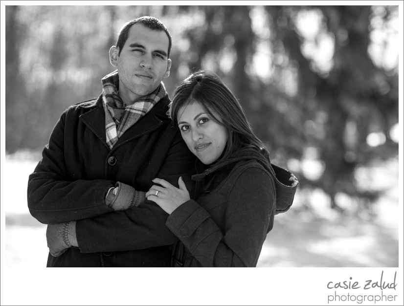 Chagrin Falls Engagement Photographer - Casie Zalud Photographer
