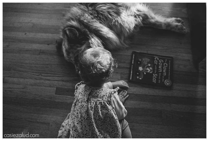 Colorado Family Photos