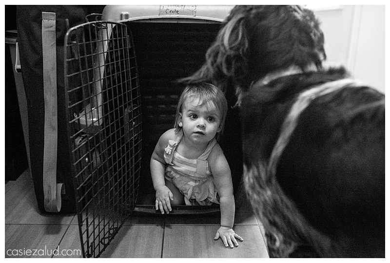 Toddler crawling out of a dog kennel as the dog watches her