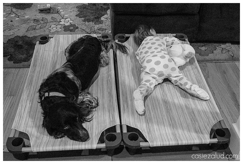 A dog and a toddler laying on two side by side cots sleeping