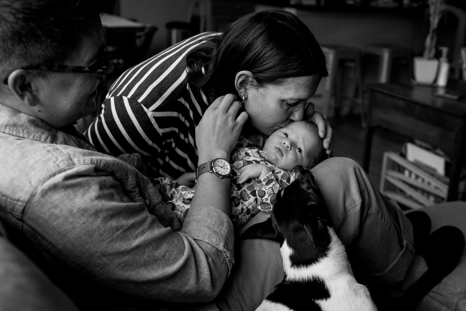 black and white photograph of dad holding newborn on lap while mom and family dog kiss baby's head