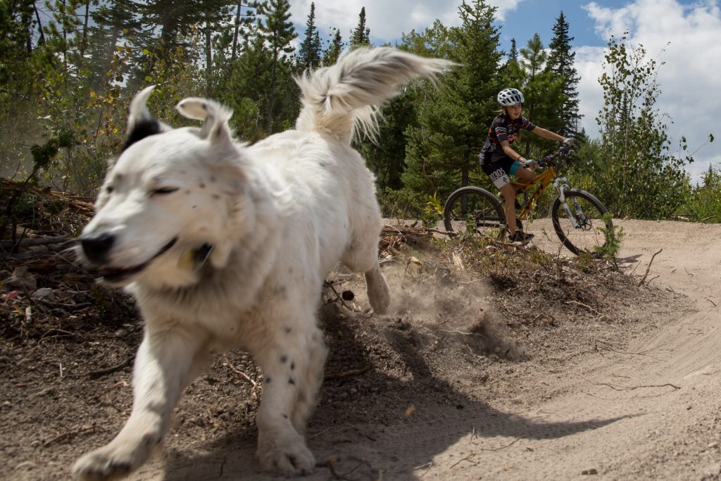 close up of dog running with kid biking behind him during a winter park vacation photo session in colorado