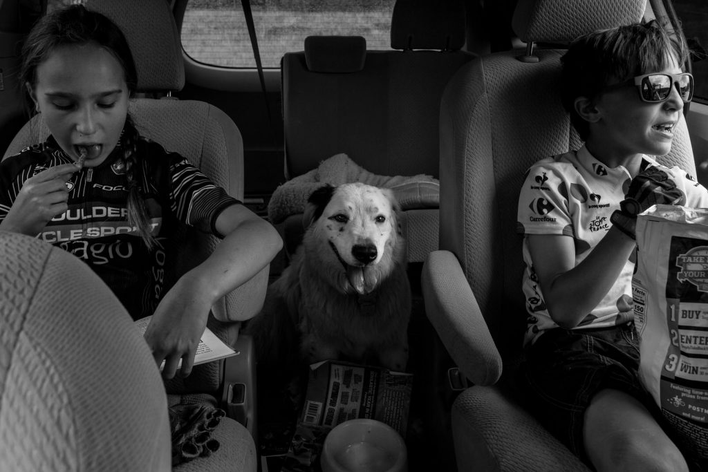 dog in back of mini van between the two kids eating chips